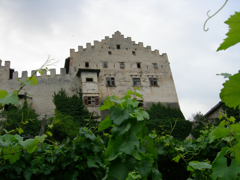 Castelli,Torri e Palazzi.....del Trentino